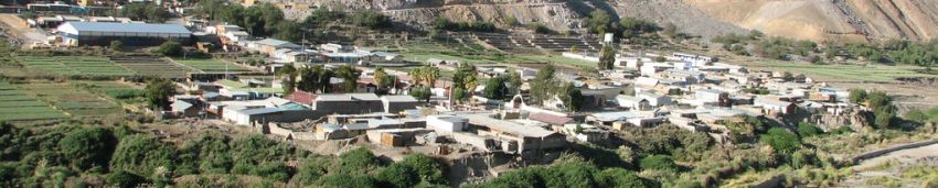 oasis de Camiña