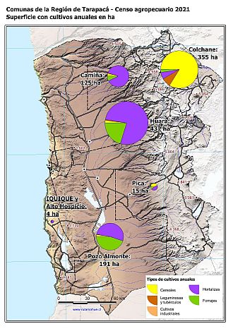 Mapa con gráficos de torta por comuna que muestran la composición de los cultivos anuales