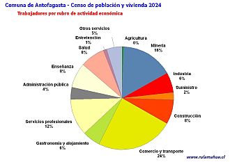 Número de trabajadores por rubro de actividad en el año 2024