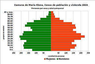 Pirámide de edades