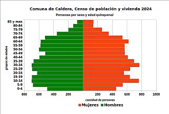 Pirámide de edades