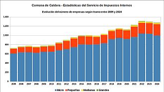 Número de empresas entre 2005 y 2024