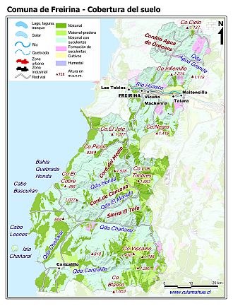 Mapa de la cobertura del suelo