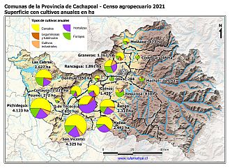 Mapa con gráficos de torta por comuna que muestran la composición de los cultivos anuales