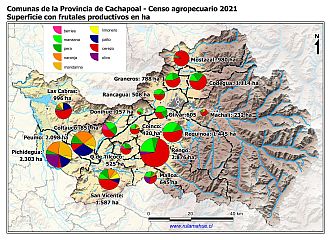 Mapa con gráficos de torta por comuna que muestran la composición de las superficies con frutales
