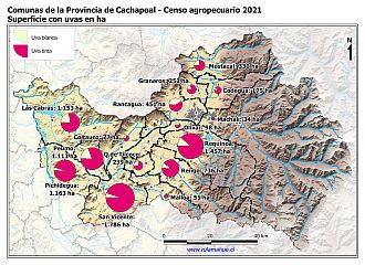 Mapa con gráficos de torta por comuna que muestran la composición de las superficies con uvas
