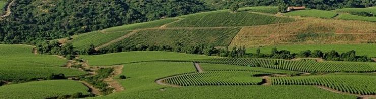 paisaje en la provincia de Cachapoal