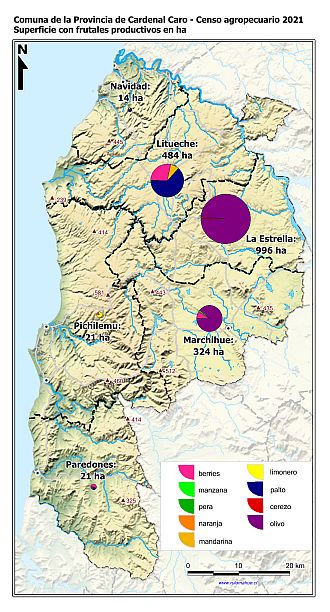 Mapa con gráficos de torta por comuna que muestran la composición de las superficies con frutales
