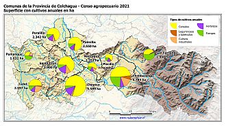 Mapa con gráficos de torta por comuna que muestran la composición de los cultivos anuales