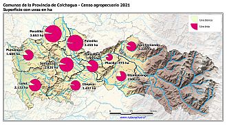 Mapa con gráficos de torta por comuna que muestran la composición de las superficies con uvas