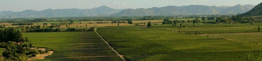 paisaje en la provincia de Colchagua
