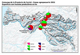 Mapa con gráficos de torta por comuna que muestran la composición de las superficies con frutales