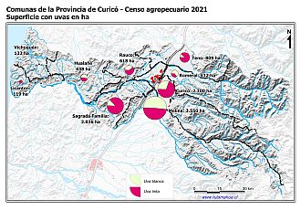 Mapa con gráficos de torta por comuna que muestran la composición de las superficies con uvas