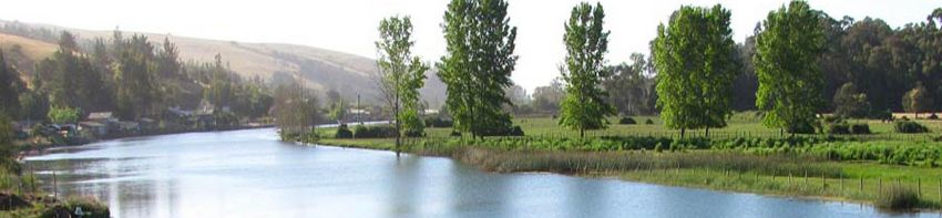 paisaje en la provincia de Curico