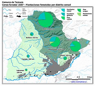 Mapa con gráficos de torta que muestran los diferentes tipos de arboles plantados por distrito censal