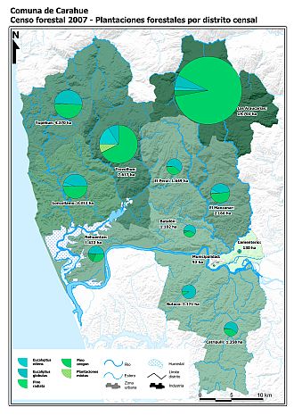 Mapa con gráficos de torta que muestran los diferentes tipos de arboles plantados por distrito censal