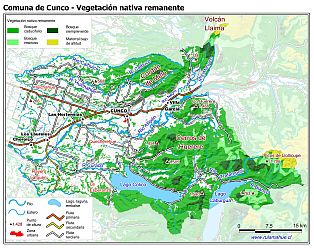Mapa de la vegetación nativa remanente