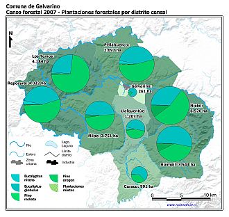 Mapa con gráficos de torta que muestran los diferentes tipos de arboles plantados por distrito censal