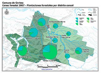 Mapa con gráficos de torta que muestran los diferentes tipos de arboles plantados por distrito censal