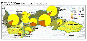 Mapa con gráficos de torta que muestran los diferentes tipos de cultivos anuales por distrito censal