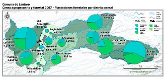 Mapa con gráficos de torta que muestran los diferentes tipos de arboles plantados por distrito censal