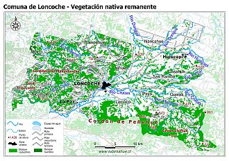 Mapa de la vegetación nativa remanente