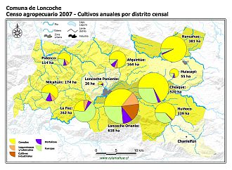 Mapa con gráficos de torta que muestran los diferentes tipos de cultivos anuales por distrito censal
