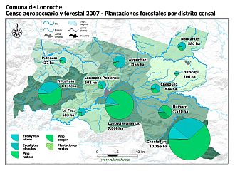 Mapa con gráficos de torta que muestran los diferentes tipos de arboles plantados por distrito censal
