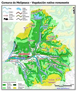 Mapa de la vegetación nativa remanente
