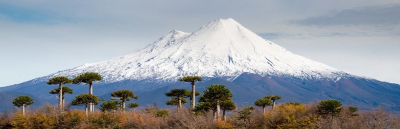 vista al Volcán Llaima