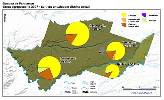 Mapa con gráficos de torta que muestran los diferentes tipos de cultivos anuales por distrito censal