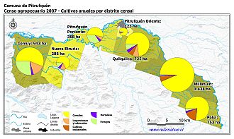 Mapa con gráficos de torta que muestran los diferentes tipos de cultivos anuales por distrito censal