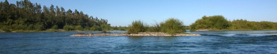 Río Toltén