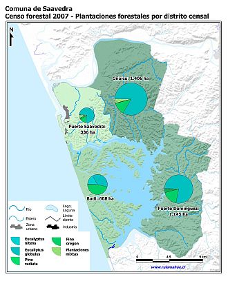 Mapa con gráficos de torta que muestran los diferentes tipos de arboles plantados por distrito censal