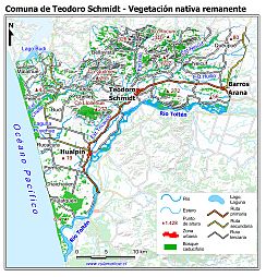 Mapa de la vegetación nativa remanente