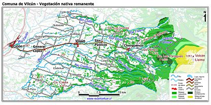 Mapa de la vegetación nativa remanente