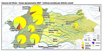 Mapa con gráficos de torta que muestran los diferentes tipos de cultivos anuales por distrito censal
