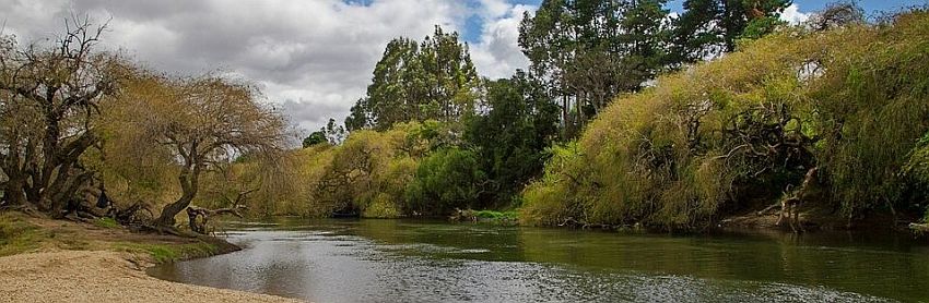 Río Cholchol