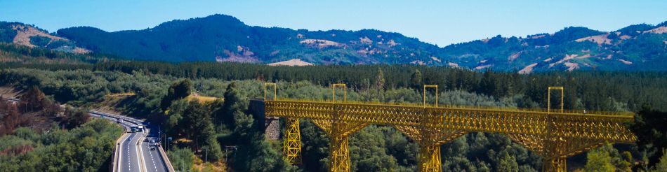 Puente Malleco