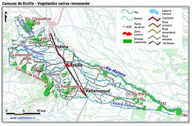 Mapa de la vegetación nativa remanente