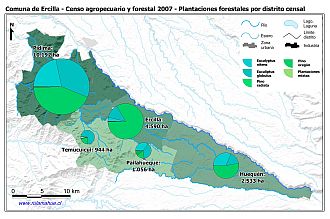 Mapa con gráficos de torta que muestran los diferentes tipos de arboles plantados por distrito censal
