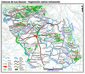 Mapa de la vegetación nativa remanente