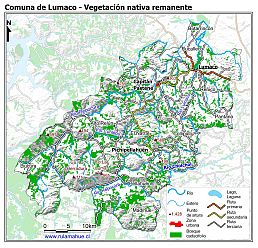 Mapa de la vegetación nativa remanente