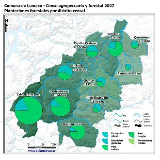 Mapa con gráficos de torta que muestran los diferentes tipos de arboles plantados por distrito censal
