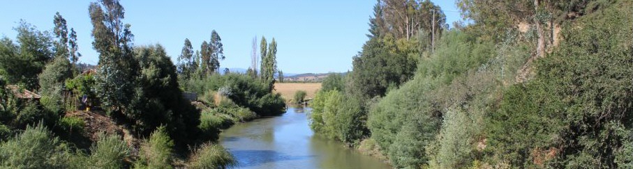 paisaje del Río Lumaco
