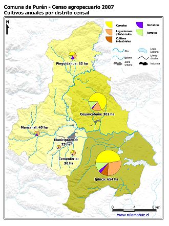 Mapa con gráficos de torta que muestran los diferentes tipos de cultivos anuales por distrito censal