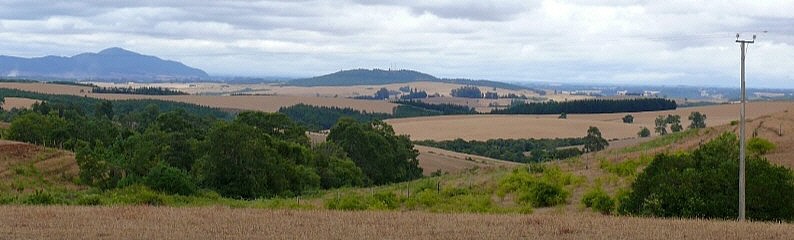 paisaje en la comuna de Traiguén