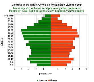 Gráfico de pirámide de edades de la población rural