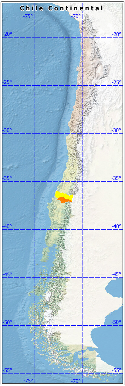 ubicación de la Provincia de Diguillín